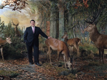 Ein Mann im Wald mit Tieren