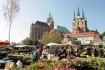 Markt.de erfurt er sucht sie
