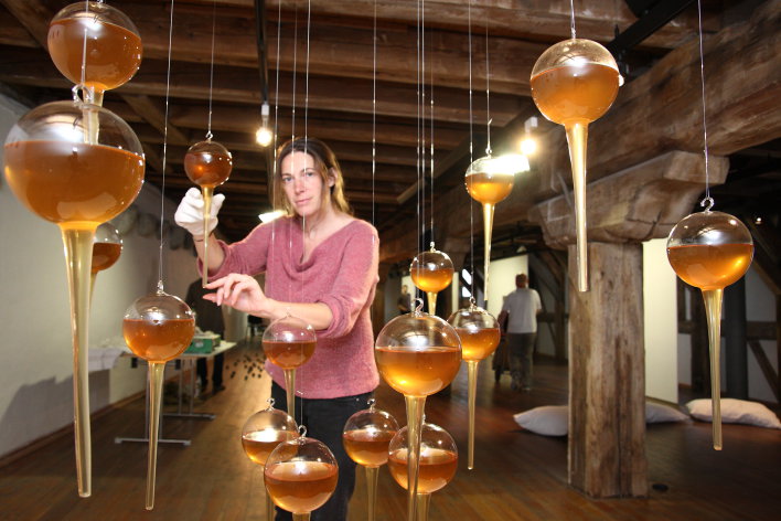 Foto: Installation "Daucus carota subsp. carota – Wilde Möhre", Verena Hahn © Stadtverwaltung Erfurt / J. Ludwig Glaskolben, gefüllt mit einer Flüssigkeit, dahinter, einen solchen festhaltend, die Künstlerin.
