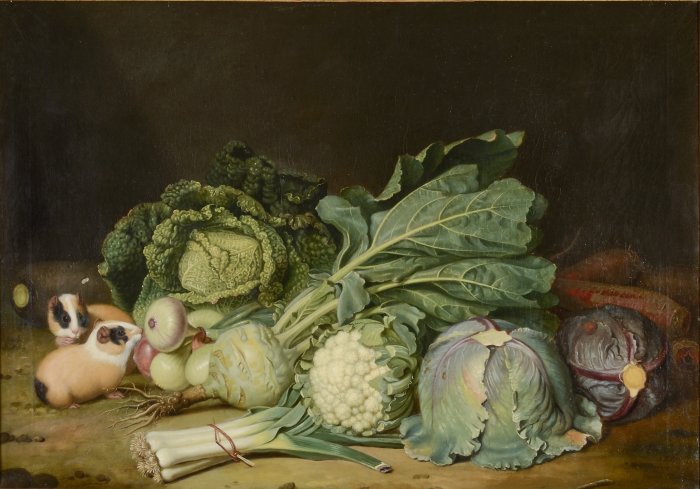 Jacob Samuel Beck: Gemüsestillleben mit zwei Meerschweinchen, 1768. Öl auf Leinwand, 70 x 98 cm Rotkohl, Weißkohl, Blumenkohl, Kohlrabi, Zwiebeln und zwei Meerschweinchen.