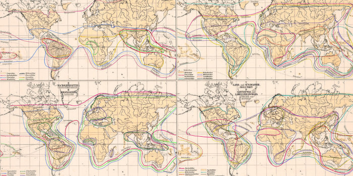 Dreigeteilte Weltkarte auf beigen Papier