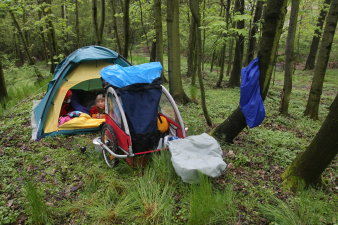 Zelt und Fahrradanhänger inmitten eines Waldes