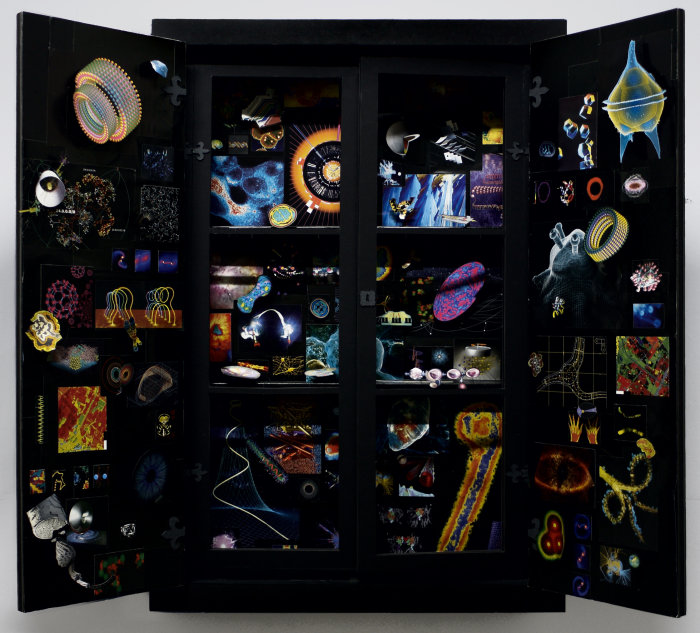 Kuriosum, 2012, Objekt mit Zeitschriftenausschnitten, Papier, Nadeln, Kapa Schwarzer Schrank mit bunten Bildelementen.