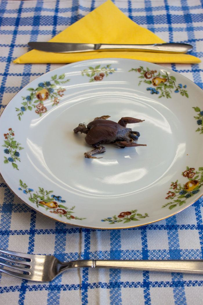 Ein toter Vogel liegt zum Essen zubereitet auf einem Teller