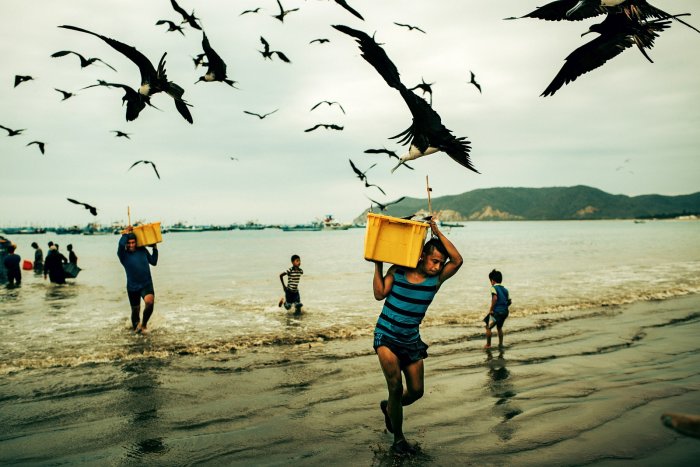 Männer mit gelben Kisten auf den Schultern laufen aus dem Meer, darüber fliegen Vögel