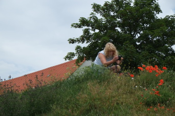 Frau sitzt auf dem Petersberg und fotografiert Blumen.