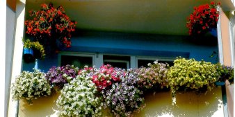 Sehr reich mit Blumen geschmückter Balkon.