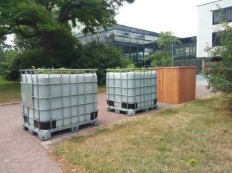 drei bepflanzte umgenutzte Wassercontainer