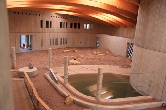 Elefantenhaus Blick in das neue Elefantenhaus mit Sandboden und mit Wasser gefülltem Badebecken.