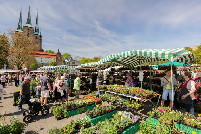 Blumen- und Gartenmarkt auf dem Domplatz 