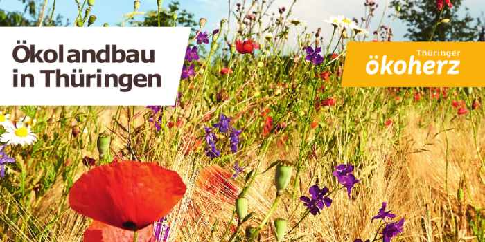 Blumenwiese mit Schriftzug: Ökolandbau in Thüringen