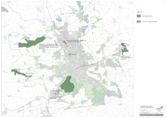 Die Karte zeigt grün markierte Fächen auf grauem Hintergrund im Stadtgebiet, welche ruhige Gebiete ausweisen. 