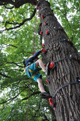 Mit fachmännischer Sicherung erklimmt ein junger Besucher den Kletterparkur entlang eines Baumstammes.