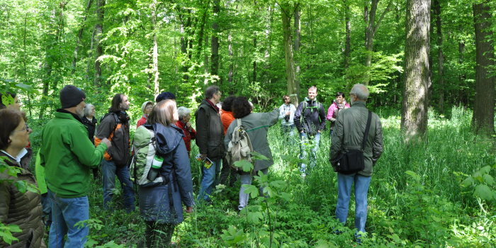 Menschengruppe im Wald