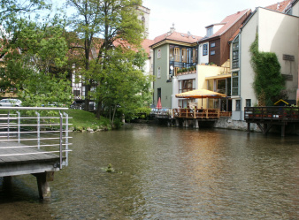Das Foto zeigt einen Blick auf den innerstädtischen Breitstrom - eingerahmt von Häusern und Grün, im Hintergrund liegt die Krämerbrücke.