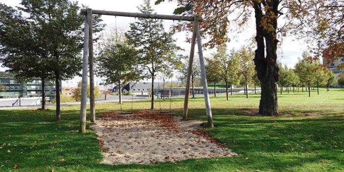 Foto: Spielplatz Petersberg: Doppelschaukel © Stadtverwaltung Erfurt große Rasenfläche mit großer Schaukel mit zwei Sitzen