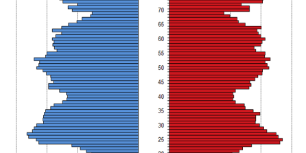 Alterspyramide: Darstellung der Altersstruktur pro Altersjahrgang in Form eines Lebensbaumes, links männlich, rechts weiblich