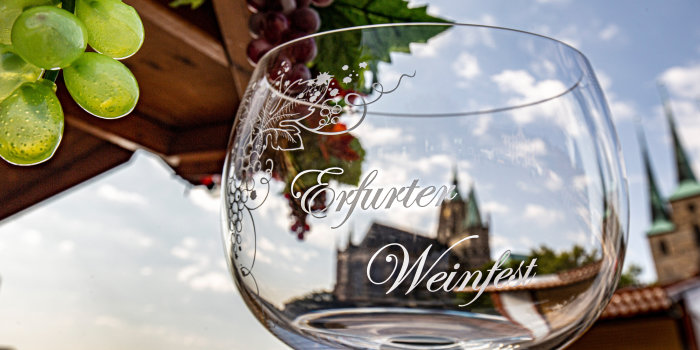 Ein Weinglas vor Weinranken mit dem Dom als Hintergrund 