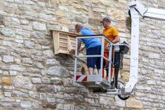 zwei Männer auf einem Hubsteiger montieren einen Holzkasten an einer Mauer
