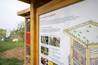 eine große Informationstafel aus Holz, im Hintergrund ein großes Insektenhotel