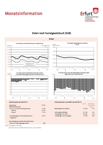 Monatsinformation SGB Eine Übersicht auf der vier Diagramme abgebildet sind.