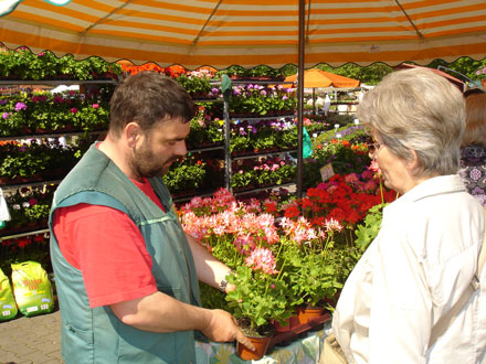 Blumen- und Gartenmarkt 2008 - Gärtnerei Schröpfer
