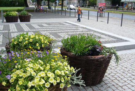 Blumenkübel Magdeburger Allee