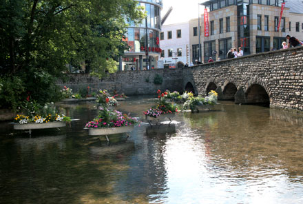 Blumeninseln im Breitstrom an der Schlösserbrücke