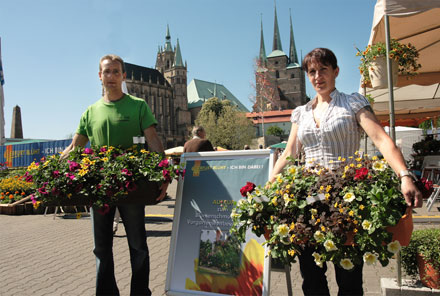 Aufruf Blumenschmuckwettbewerb 2008