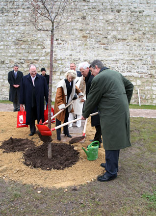 Jubiläumsbaum der Partnerstadt Mainz