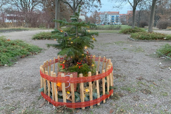 ein rundes, in einen niedrigen Holzzaun eingefasstes, weihnachtliches Arrangement