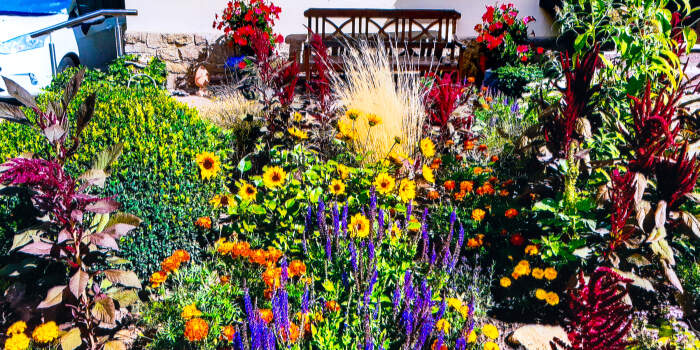Blumenschmuckwettbewerb bis Ende Oktober verlängert