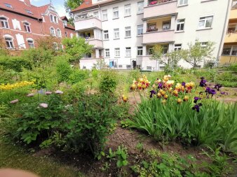 ein Garten, im Hintergrund Wohnhäuser