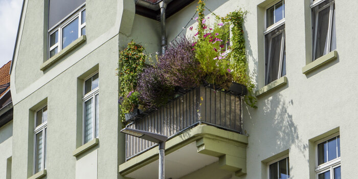 ein üppig bepflanzter Balkon