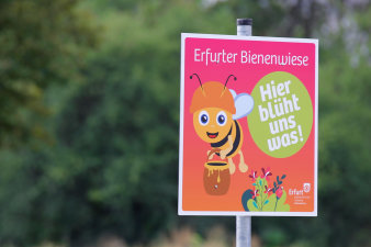 Schild mit einer comicartigen Zeichnung einer Biene und dem Schriftzug "Erfurter Bienenwiese - Hier blüht uns was"