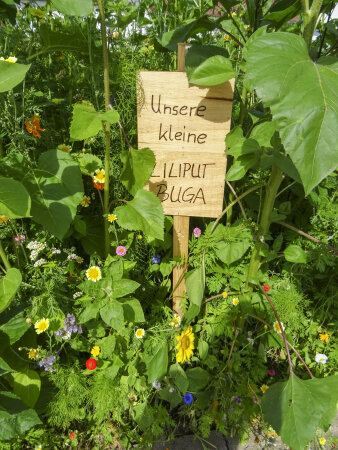 ein Holzschild "Unsere kleine Liliput Buga" in einer Blumenwiese