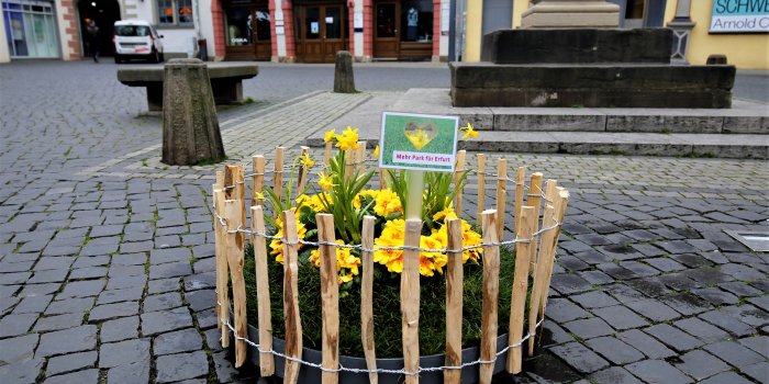 Foto: Pocketpark auf dem Fischmarkt © Stadtverwaltung Erfurt mit kleinem runden Zaun abgegrentes Blumenbeet auf einem Platz