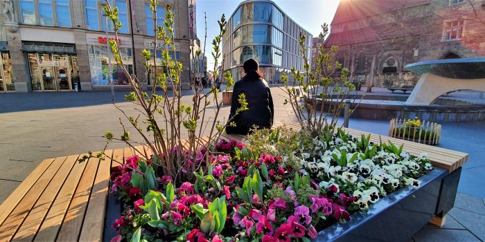 bepflanztes Blumenhochbeet, im Hintergrund Anger 1 und neuer Angerbrunnen