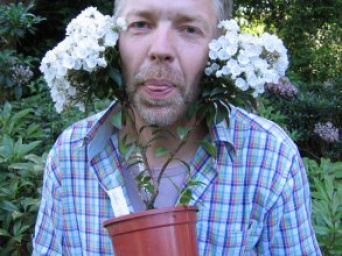 männliches Gesicht in Topfpflanze