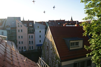 Weinbewachsene Fassade. Über den Dächern drei Vögel.