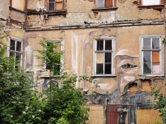 Ein altes Haus, unbewohnt, kaputt, verwilderte Fauna, die Fassade bemalt mit einem Auge