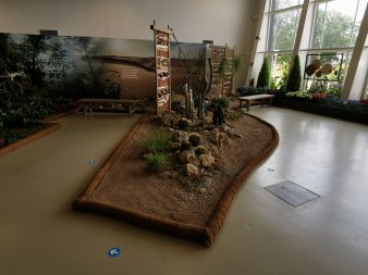 wüstenähnliche Landschaft mit Kakteen, Sand und Steinen