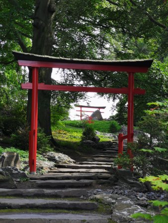 aus Steinen gebauter Treppenweg mit japanischen Toren