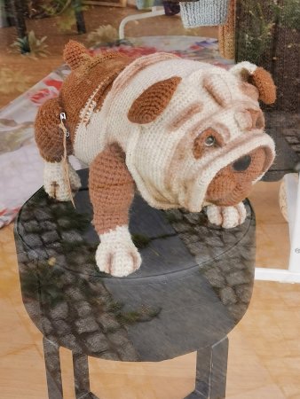 gestrickter Hund stehen auf Hocker