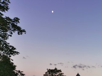 Mondaufgang vor fast wolkenfreiem Himmel, Blätter und Turmspitze im Vordergrund