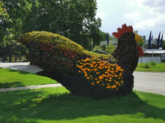 Aus Blumen gestecktes großes Huhn