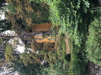 Idyllisches Wohnhaus inmitten eines dicht bewachsenen Gartens