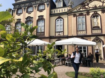 Ein Zitronenbäumchen mit Aussicht auf eine steinige Terrasse  und ein Schloßgebäude