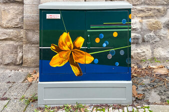 Graffiti-Projekt Medienkasten gestaltet mit Blumenmotiv