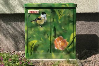 Graffiti-Projekt gestaltet mit Naturmotiv Gelbmeise und Rose